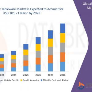 Ceramic Tableware Market Analysis and Insights
